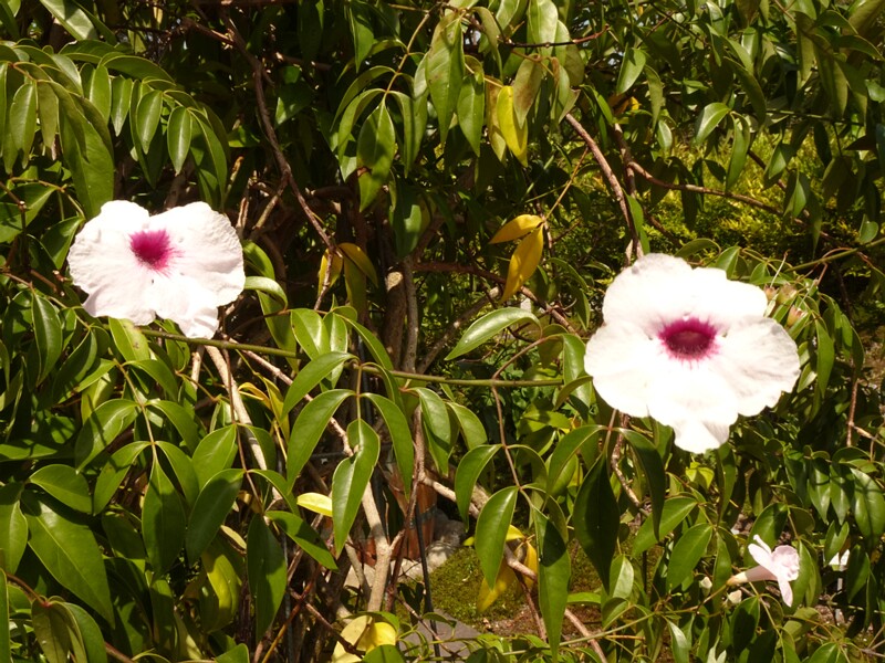 DSC02295