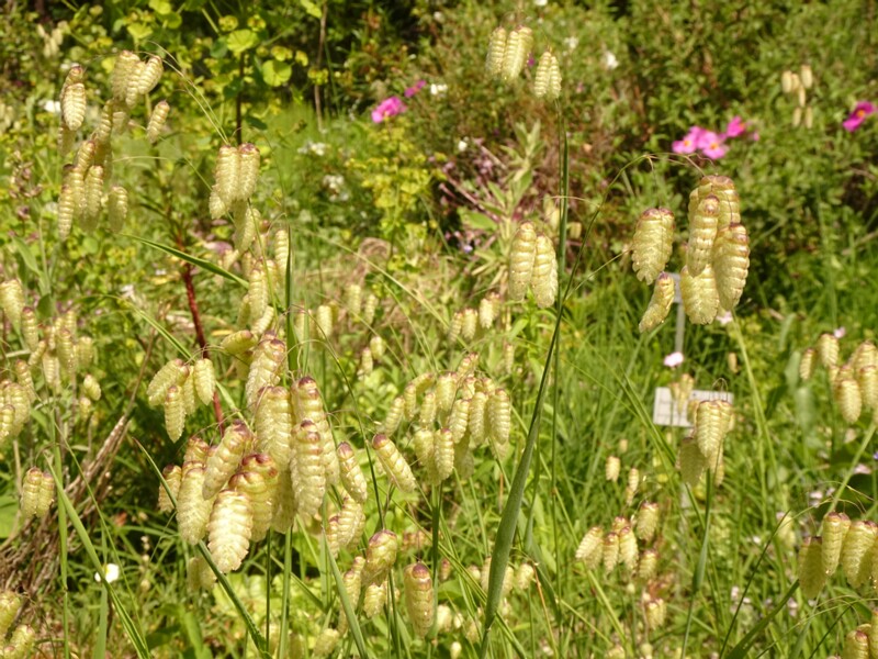 DSC02208