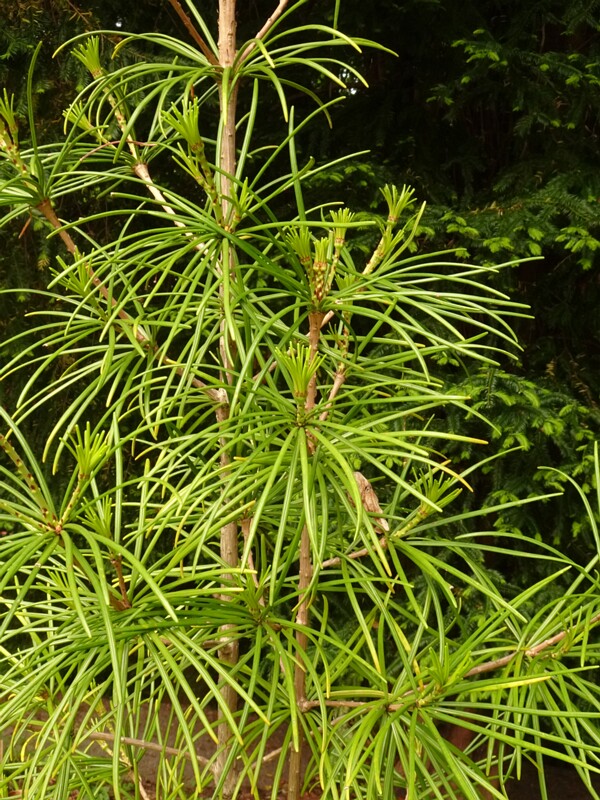 0DSC02469