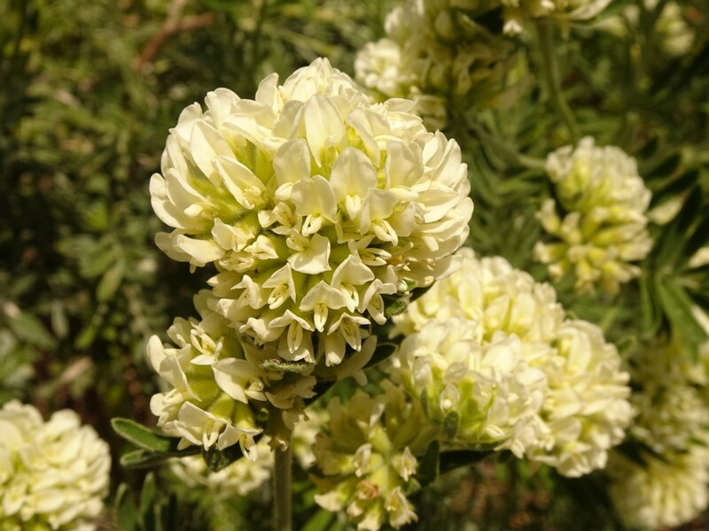 0DSC02222
