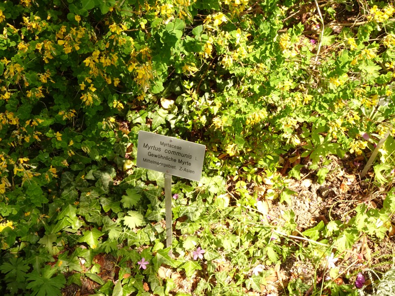 DSC02190