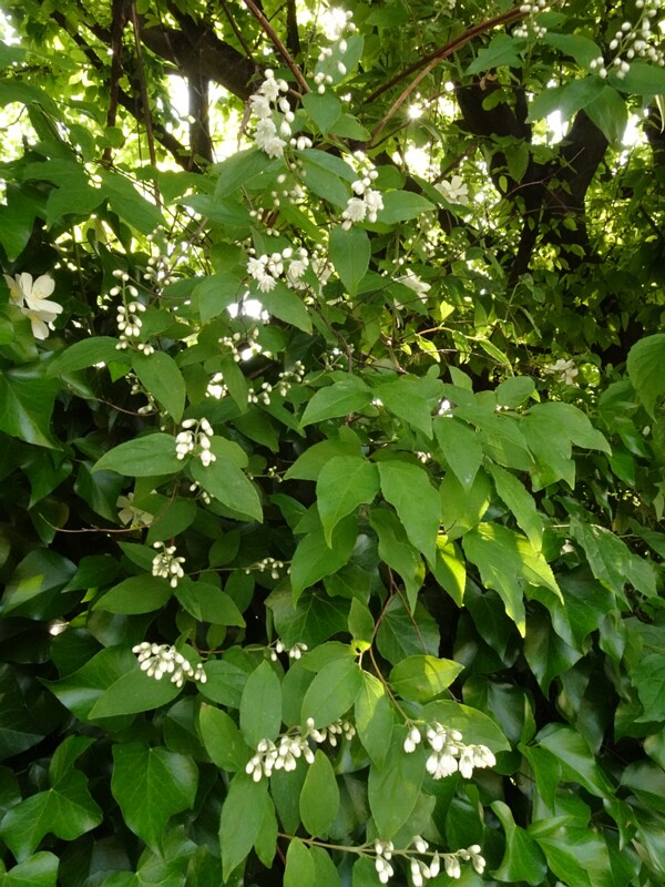 DSC02074