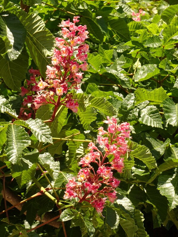 0DSC01914