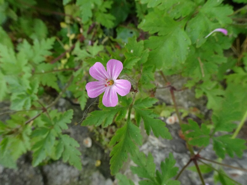 0DSC02563
