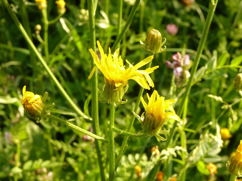 0DSC01722