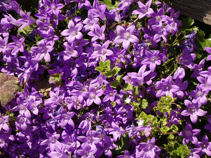 0DSC01916