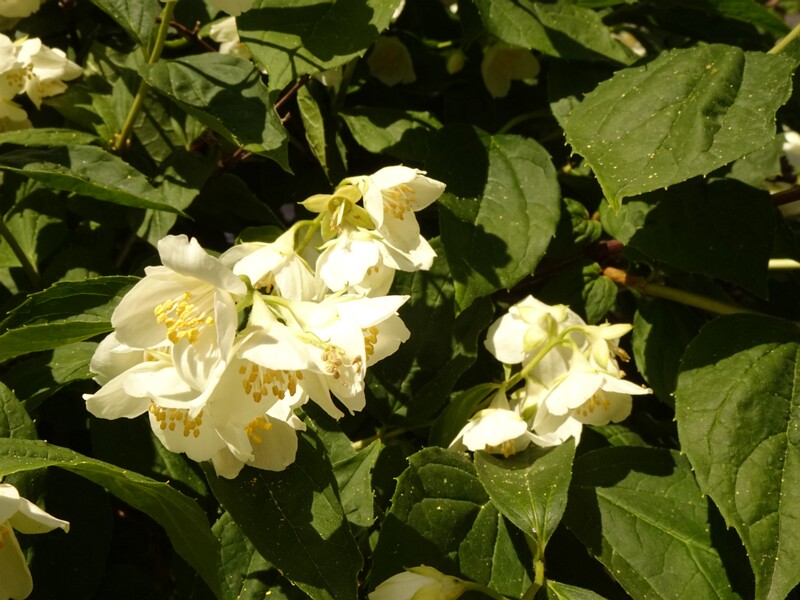 0DSC01876
