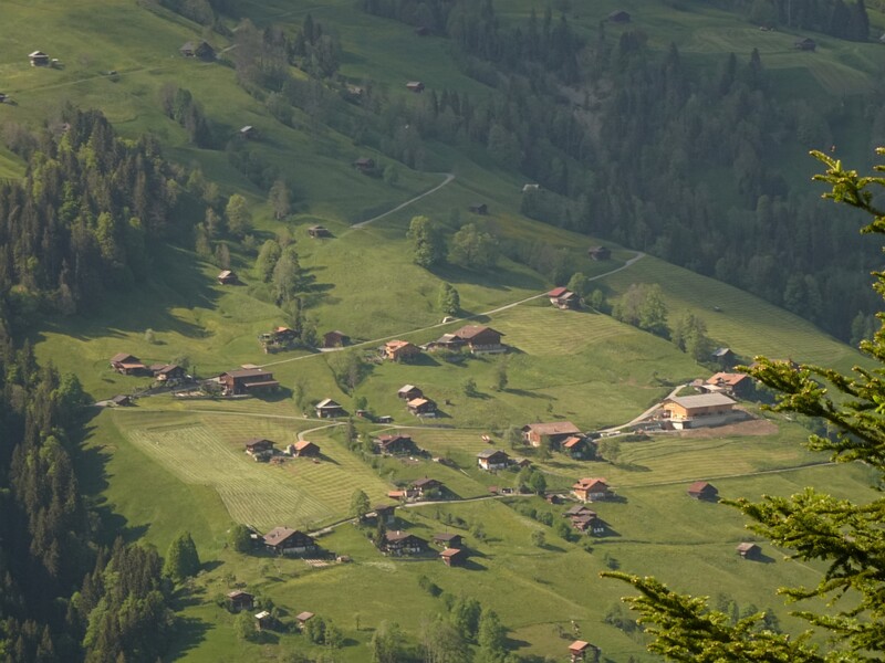 DSC02015