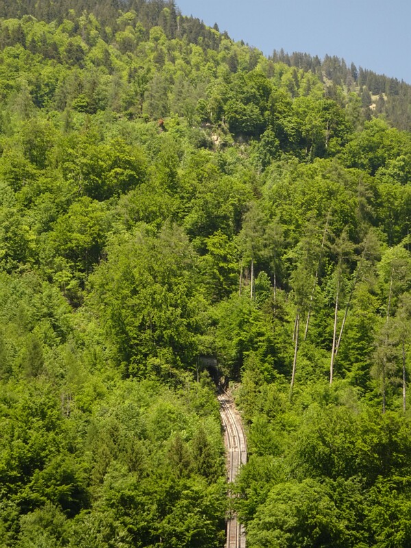 DSC01867