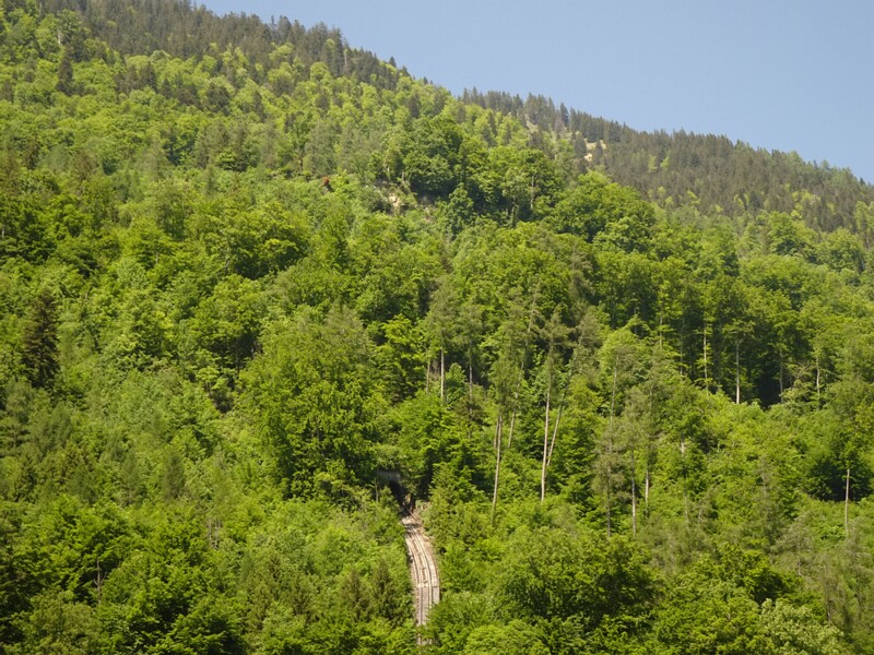 DSC01868