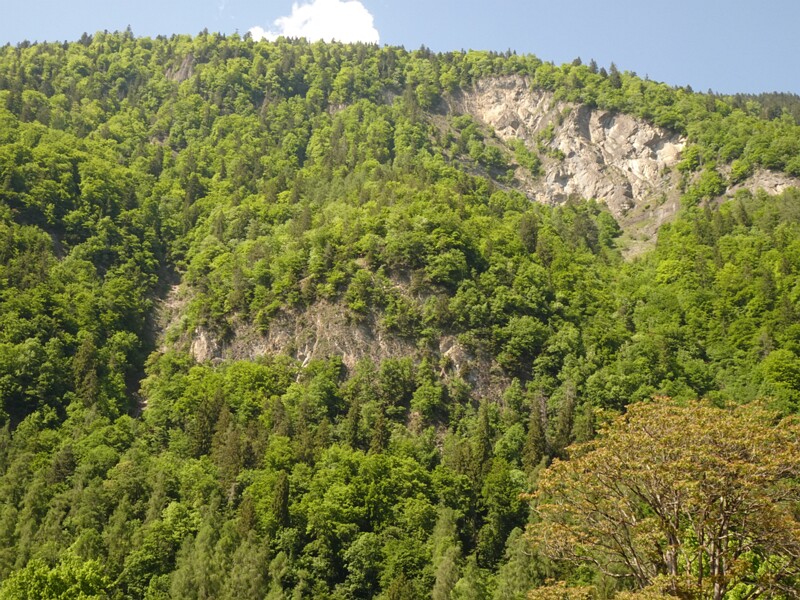 DSC01936