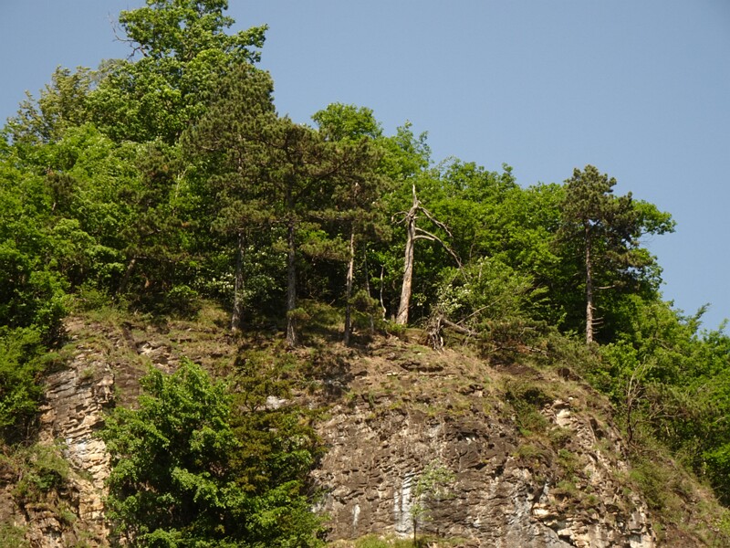 DSC01956