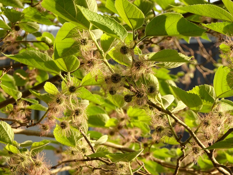 DSC01695