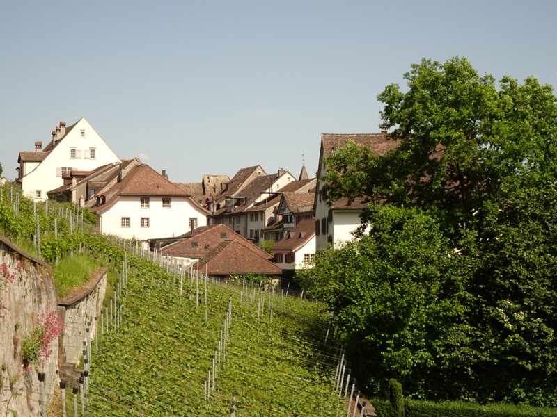 DSC02696
