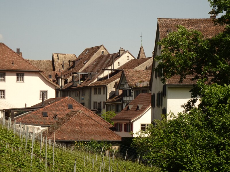 DSC02701