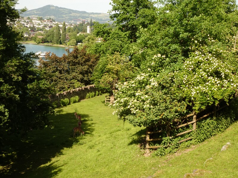 DSC02715