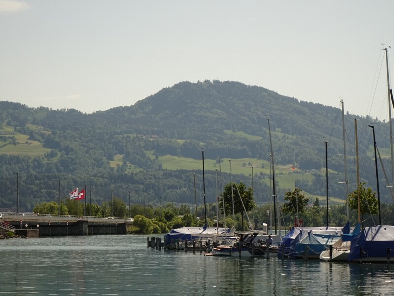 DSC02606