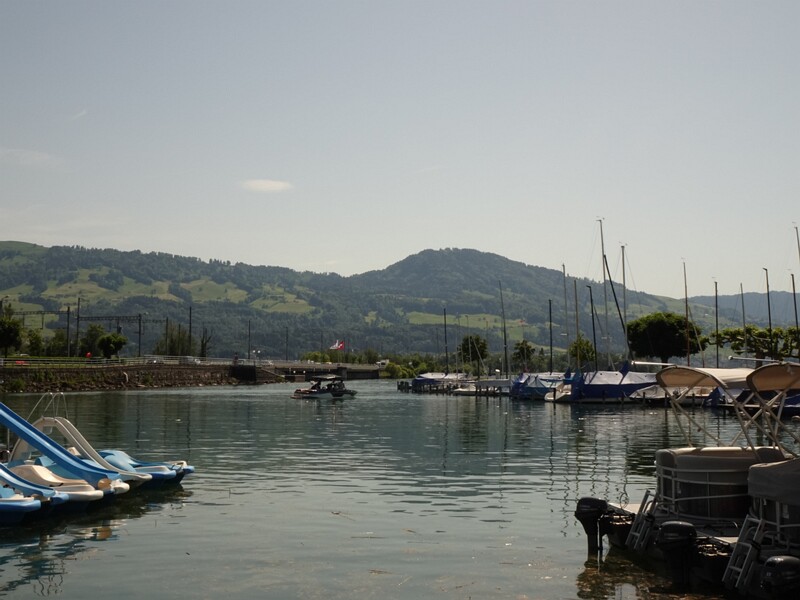 DSC02609