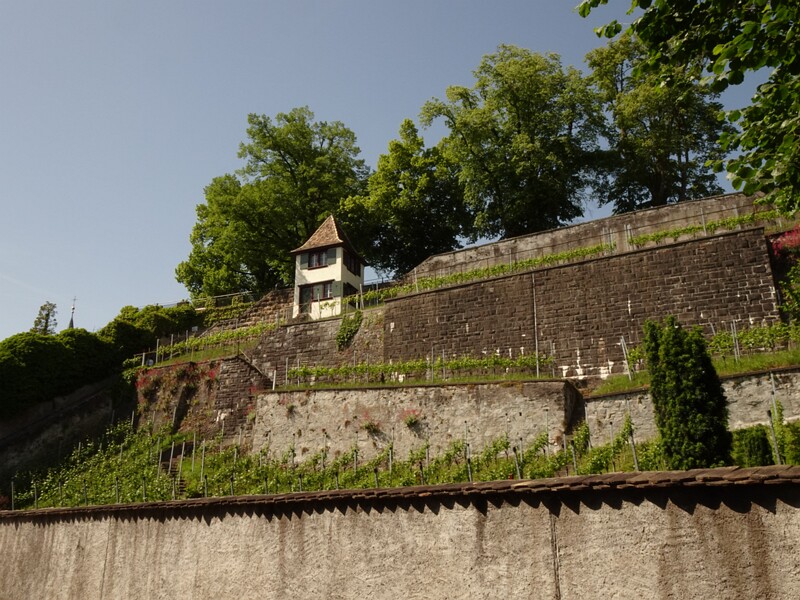 DSC02630