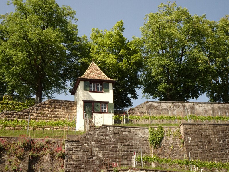 DSC02671