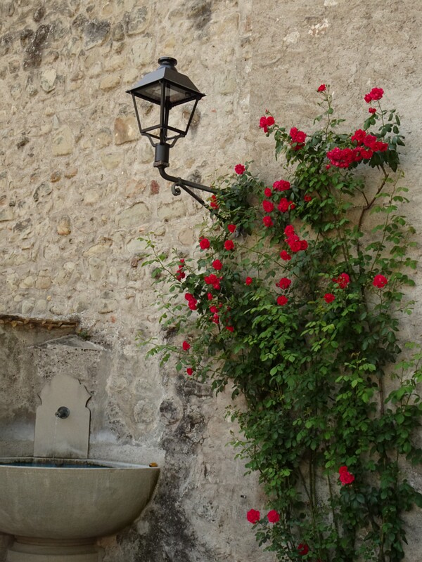 DSC02690