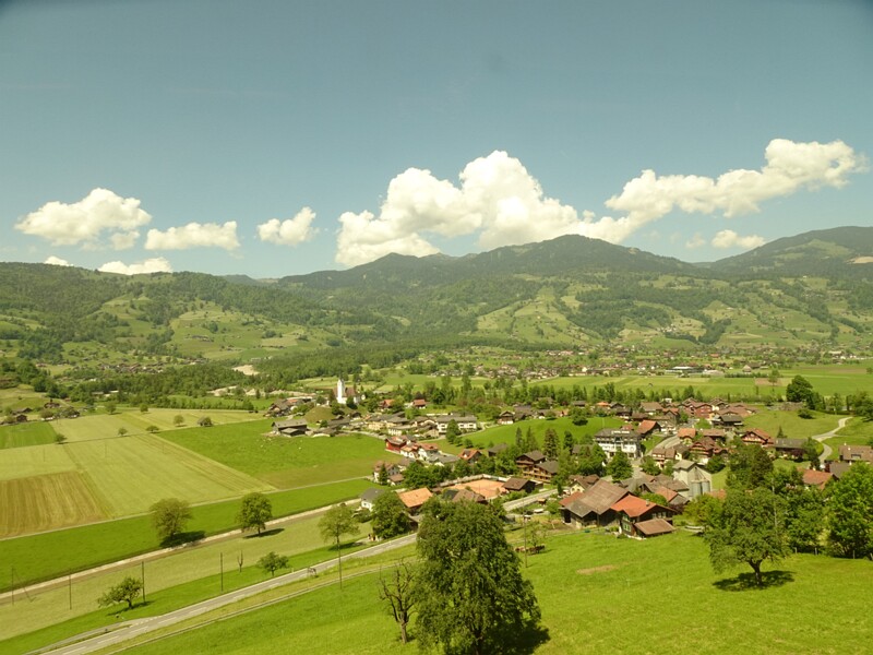 DSC01781