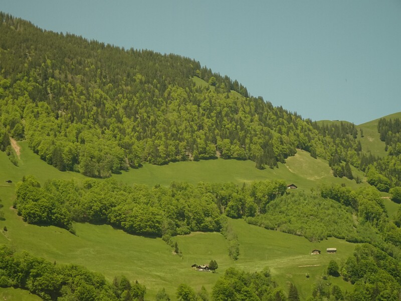 DSC01794