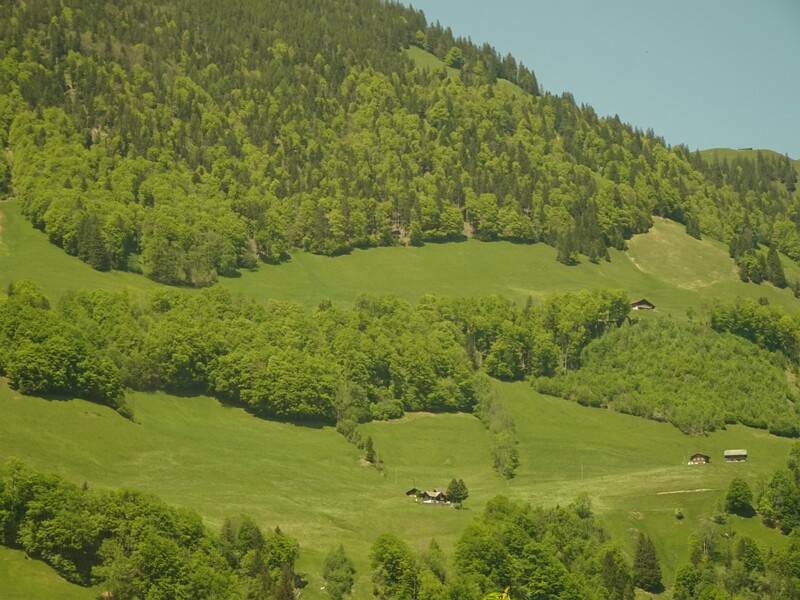 DSC01795