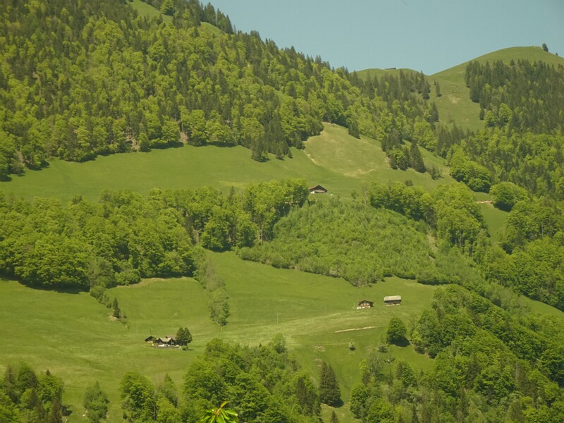 DSC01797