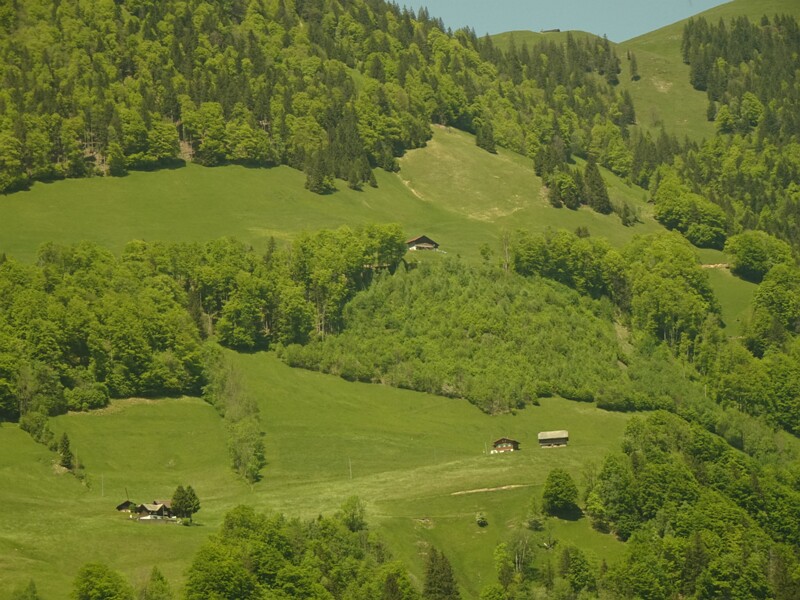 DSC01798